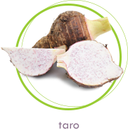 taro