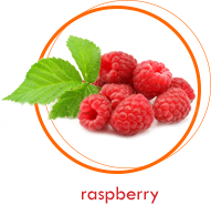 raspberry